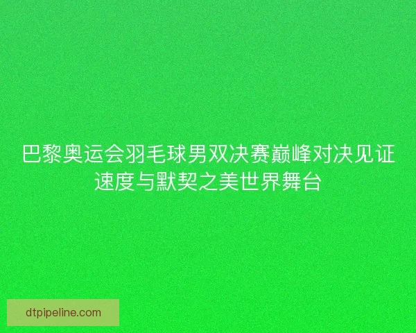 巴黎奥运会羽毛球男双决赛巅峰对决见证速度与默契之美世界舞台