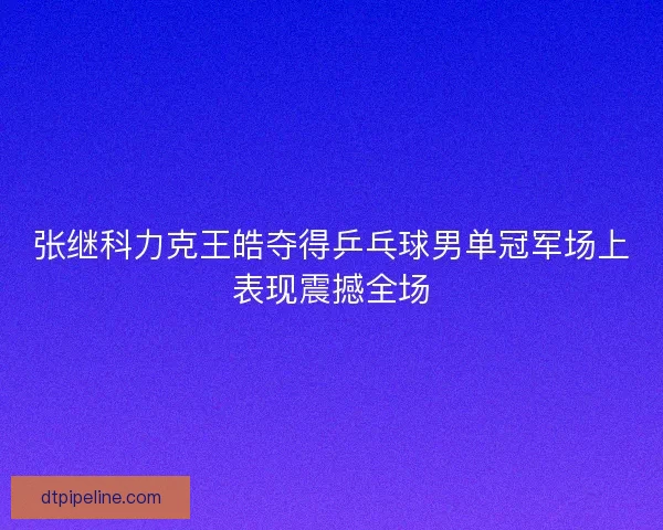 张继科力克王皓夺得乒乓球男单冠军场上表现震撼全场 张继科力克王皓夺得乒乓球男单冠军场上表现震撼全场